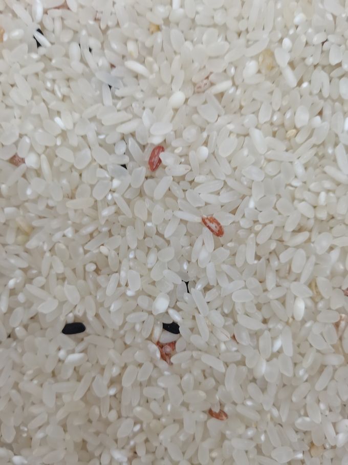 Mini clasificador del color del arroz con 1 hábil