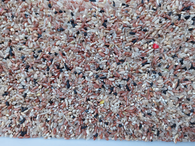 Mini clasificador del color del arroz con 2 hábiles