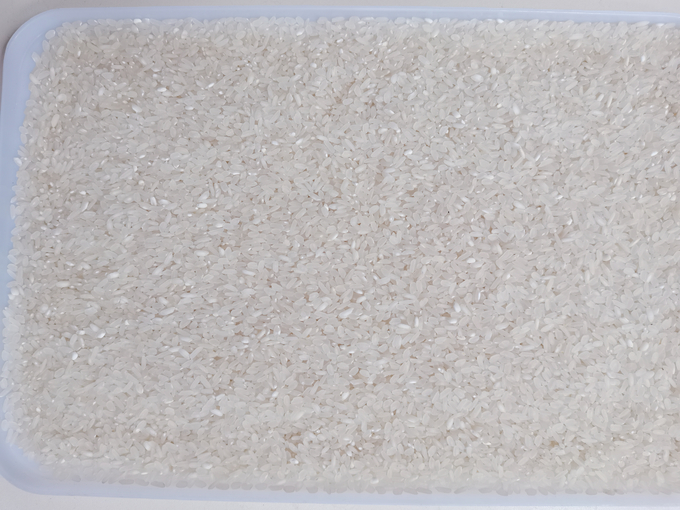 Mini clasificador del color del arroz con 3 hábiles