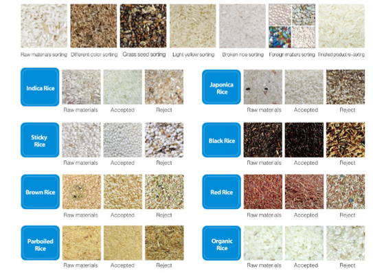 Máquina de clasificación de color de arroz de alta precisión 99.99%
