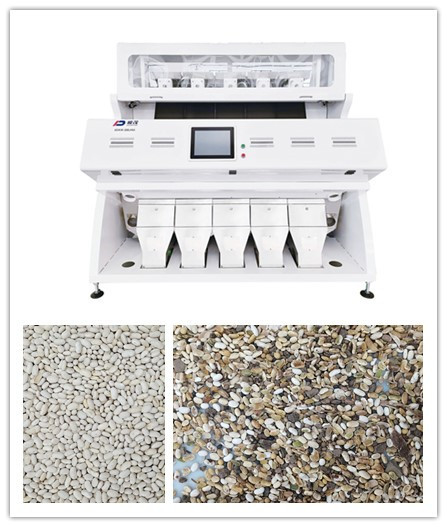 CCD RGB Bean Grain Sorter blanco óptico 5 canales inclinados 320 canales
